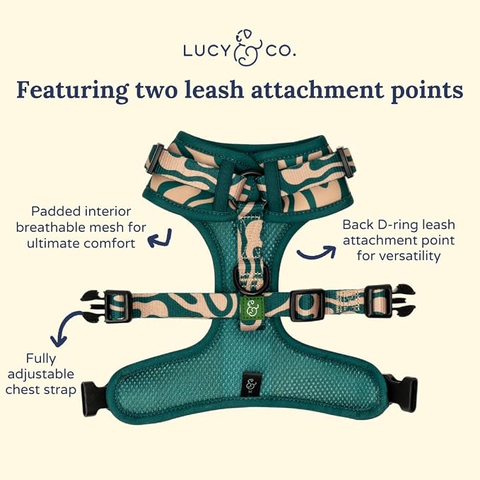 Lucy & Co. x Parks Project Geyser No-Pull Dog Harness, Adjustable Front Clip Harness with Comfort Padding, Large