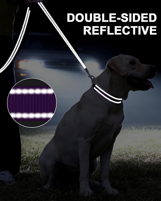 Taglory Reflective Dog Leash for Small Dogs, 3/4in x 5ft, Purple | Ideal for Night Walking, Strong for Sudden Pulls, Lightweight & Gentle on the Neck, Soft Padded Handle