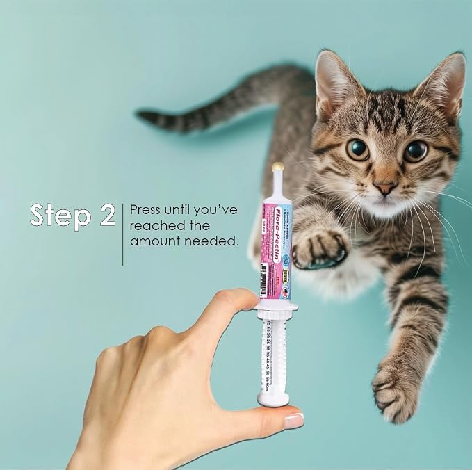 Oral Paste for Dogs & Cats (2 Pack, 15 CC - Tasty Chicken)