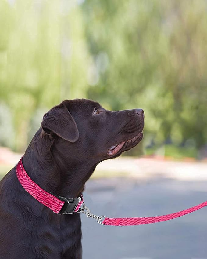 Joytale 6FT1'' Dog Leash and Collar (16-24"), Reflective Soft Neoprene Padded Pet Collars and Leashes for Large Dogs, Hotpink