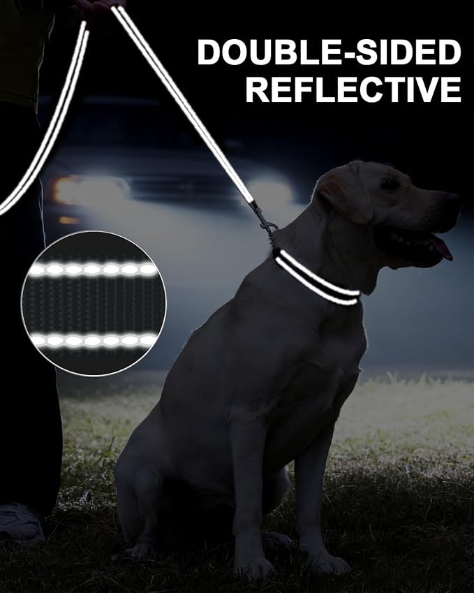 Taglory Reflective Dog Leash for Small Dogs, 3/4in x 6ft, Grey | Ideal for Night Walking, Strong for Sudden Pulls, Lightweight & Gentle on the Neck, Soft Padded Handle