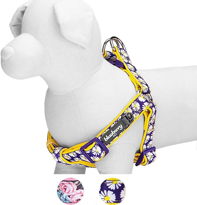 Blueberry Pet 2 Patterns Soft & Comfy Step-in Loving Daisy Prints Padded Dog Harness, Chest Girth 20" - 26", Medium, Adjustable Harnesses for Dogs