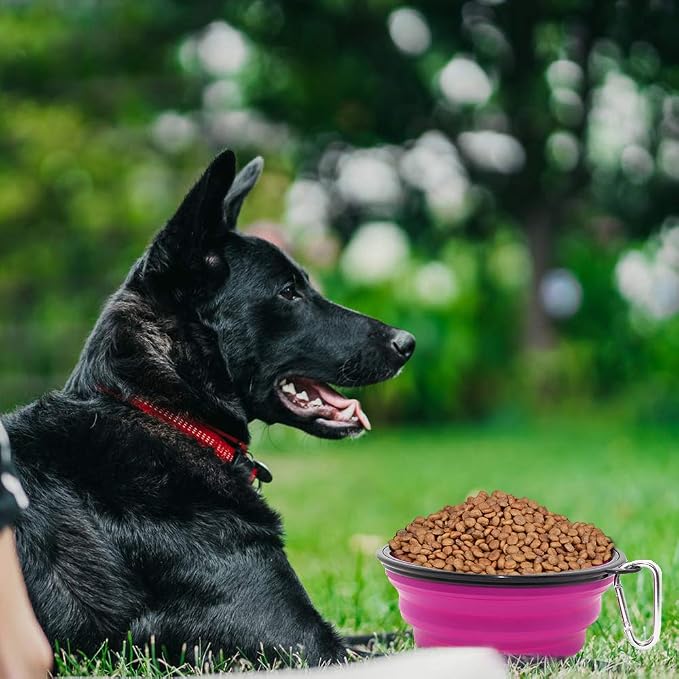 Dog Bowl Collapsible, 2 Pack, with Carabiners, Large, Green+Purple