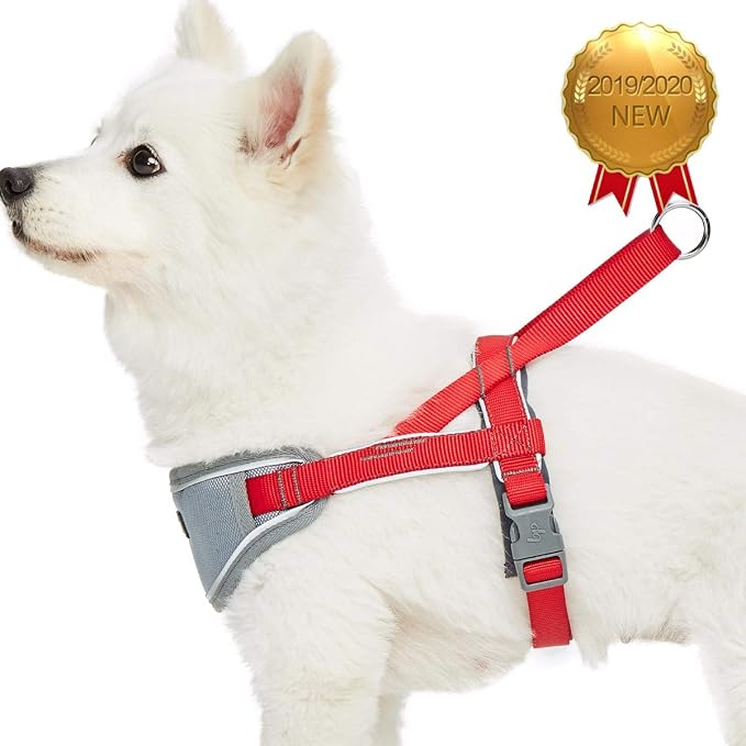 Blueberry Pet 8 Colors Soft & Comfy 3M Reflective Strips Padded Dog Harness Vest, Chest Girth 16.5" - 21", Red, Small, Nylon Adjustable Training Harnesses for Dogs