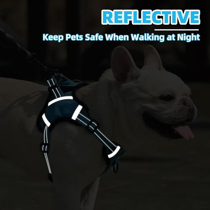 PUPTECK Dog Harness Small Sized Dog, Step in Adjustable Reflective Dog Vest Harness Escape Proof, No Pull Soft Padded Harness Easy Control, Blue, XS
