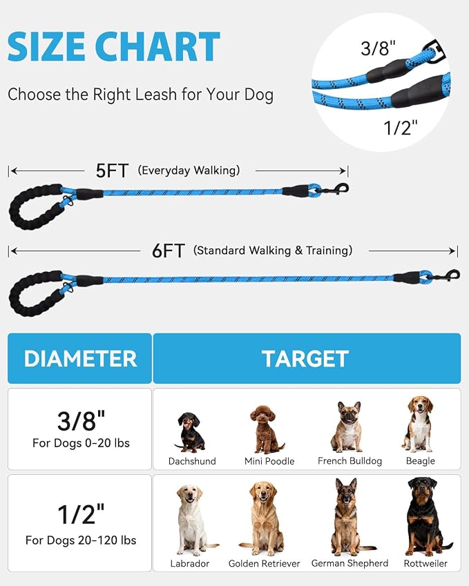 Joytale Rope Dog Leash for Small Dogs, Padded Handle, 6FT, Aqua Blue | Reinforced Nylon Webbing, Comfort Grip Eases Hand Strain, Swivel Clip Prevents Tangles, Visible at Night, for Outdoor Walks