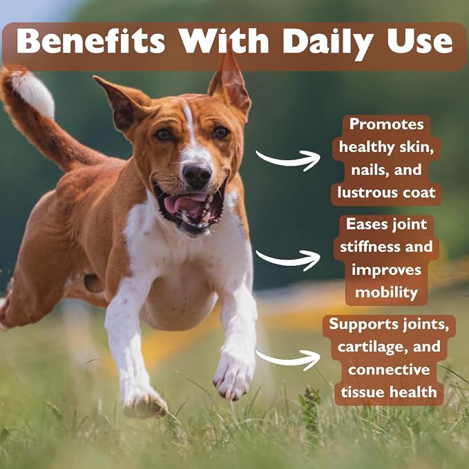 KALA HEALTH PeakTails Chicken Flavor MSM Powder for Dogs, US-Sourced, 1 lb