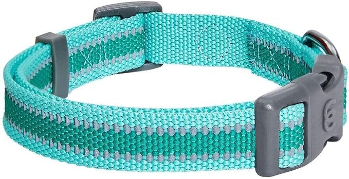 Blueberry Pet Essentials Dog Collar Pack of 2 - Reflective Dog Collars for Medium Dogs, Dog Collar for Large Dogs, Adjustable Minty Green Pet Collar with Eco-Friendly Buckles, Medium Size