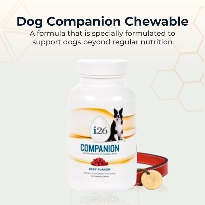 VitaminCity i26 Companion Dog Chewables with Glucosamine, Beef, 60 Tabs