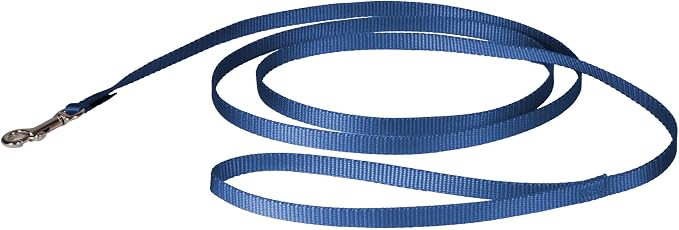 PetSafe Nylon Dog Leash - Strong, Durable, Traditional Style Leash with Easy to Use Bolt Snap - 3/8 in. x 6 ft., Royal Blue | Durable Nylon Leash with Easy on/off Bolt Snap Hook, Pairs Perfectly with Easy Walk Harness and Gentle Leader Headcollar