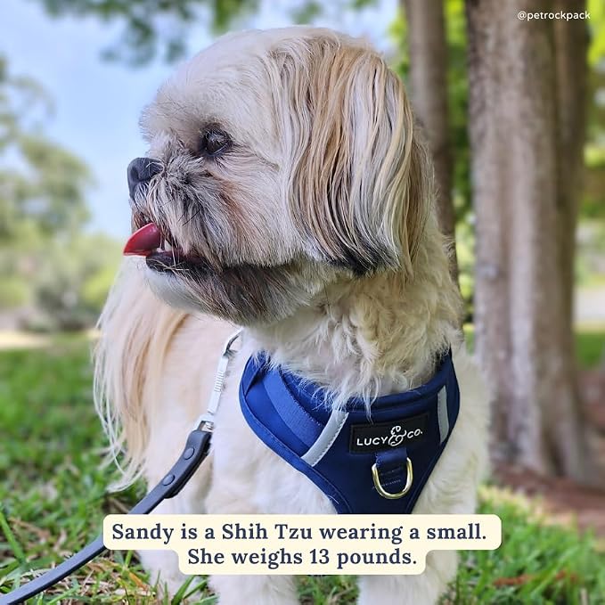Lucy & Co. The Bolt of Lightning No-Pull Dog Harness for Dogs – Vest to Stop Pulling & Walk Easy – Comfortable Leash Training Product w/Adjustable Chest & Neck Straps - Navy - Small