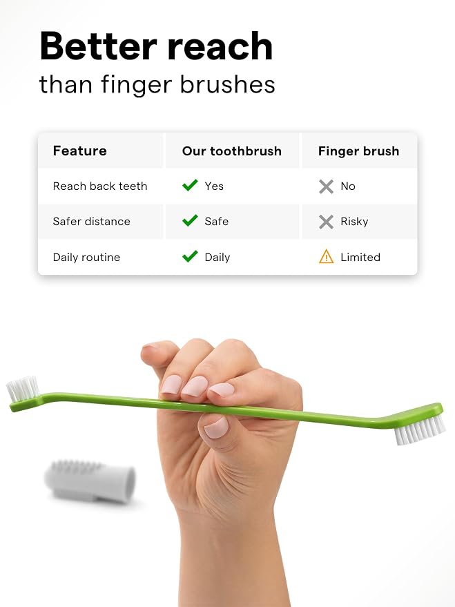 Pet Toothbrush Set of 6 for Dogs & Cats - Dual-Head Dog Toothbrush with Soft Nylon Bristles - Long Handle for Daily Dental Care - Home Use Toothbrush Pack for Small to Large Breed Pets - eBook + App
