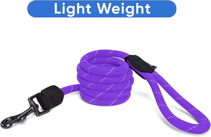 Pawtitas Purple Rope Dog Leash, X-Small/Small, 6 ft.