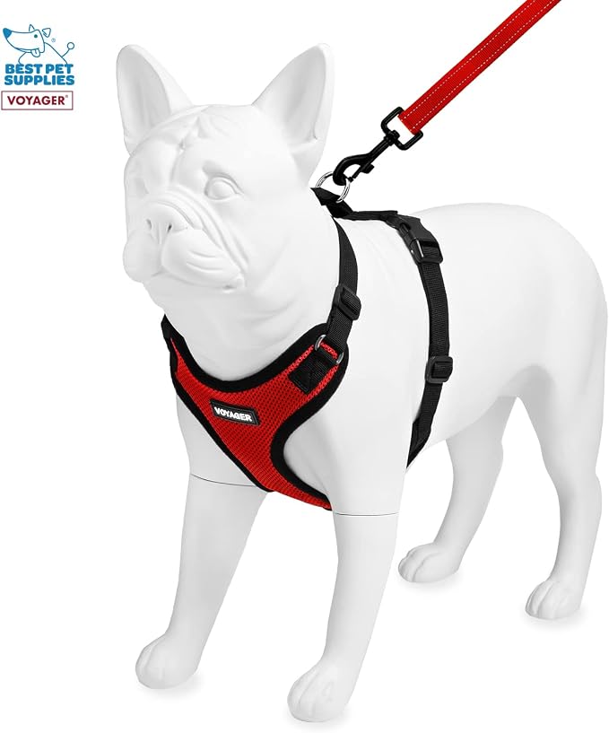 Best Pet Supplies Voyager Step-in Lock Pet Harness w Reflective Pet Leash Combo Set with Neoprene Handle 5ft - Supports Small, Medium and Large Breed Puppies/Cats - Red/Black Trim, XS