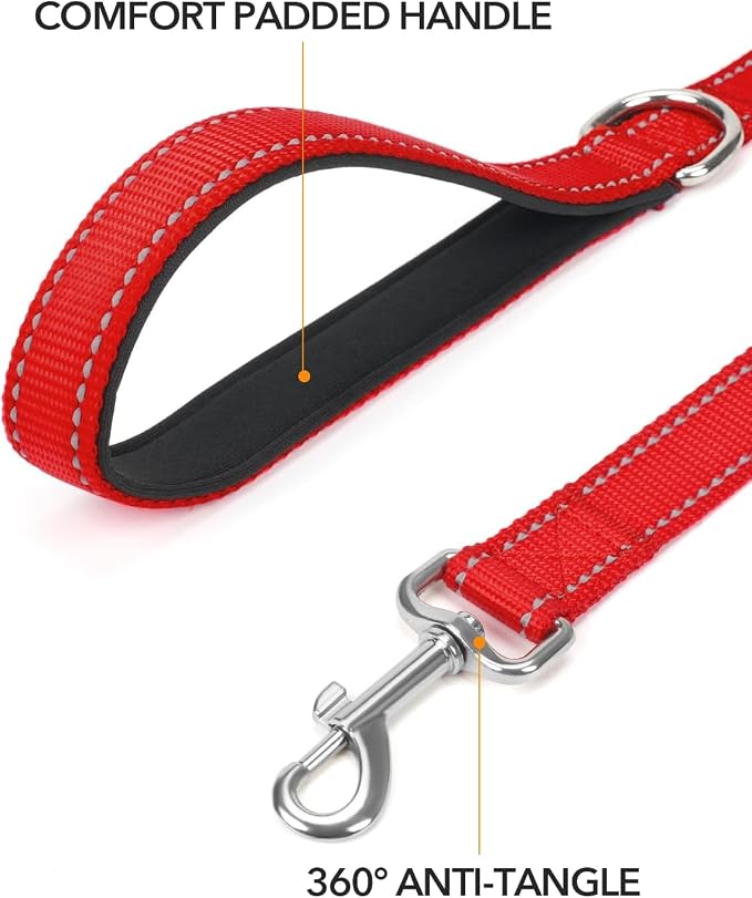 Taglory Reflective Dog Leash for Medium Large Dogs, 1in x 6ft, Red | Ideal for Night Walking, Strong for Sudden Pulls, Lightweight & Gentle on the Neck, Soft Padded Handle