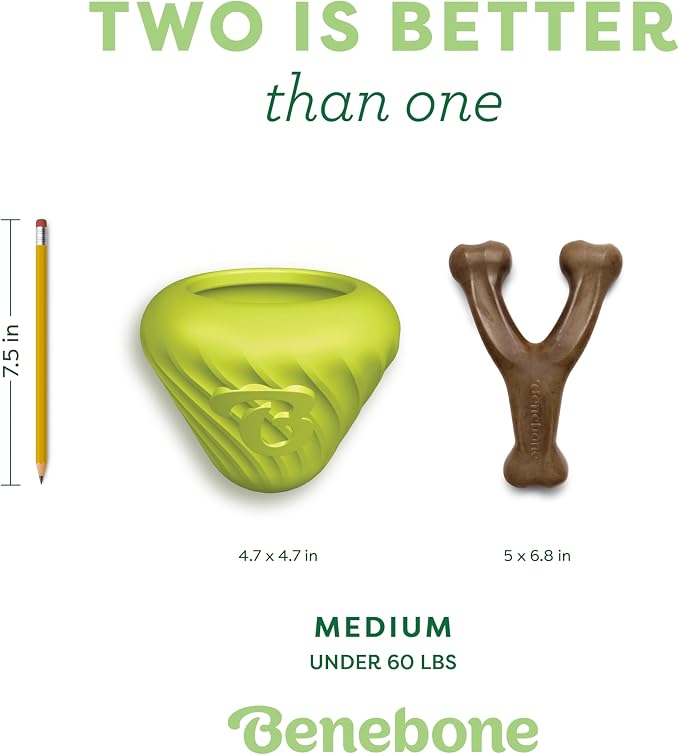 Benebone Dog Toy Bundle – Medium Wishbone Chew (Real Bacon) + Natural Rubber Cone Treat Dispenser – Durable, Made in USA, Great for Aggressive Chewers & Mealtime Enrichment