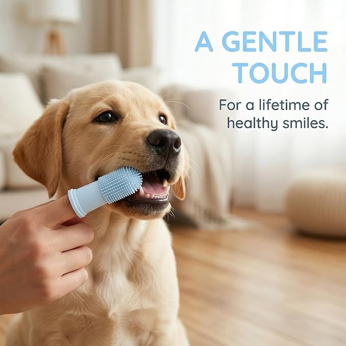 5-Pack with Cases Silicone Finger Toothbrush for Dogs and Cats, Soft Bristle Dental Brush, Three Different Models, Suitable for Various Types of Dogs and Cats