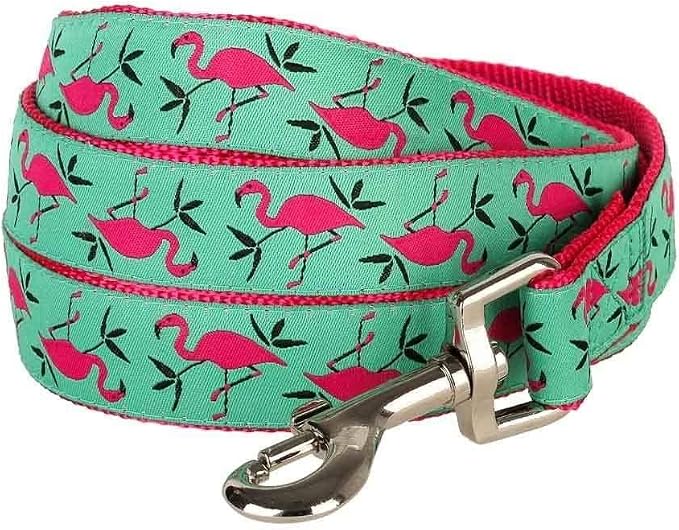 Blueberry Pet Essentials 2 Patterns Durable Pink Flamingo on Light Emerald Dog Leash 5 ft x 5/8", Small, Basic Nylon Leashes for Dogs