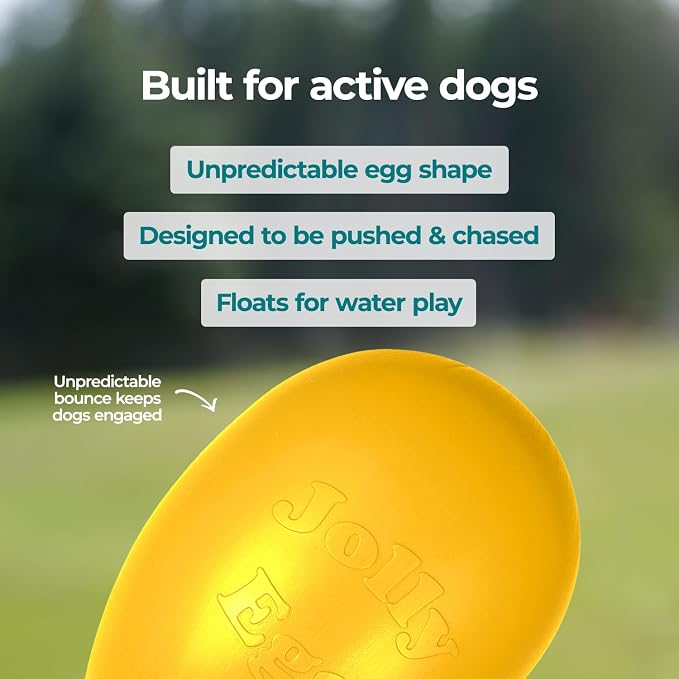 Jolly Pets Jolly Egg Herding Dog Toy, 8 in, Yellow - Erratic Roll | Egg-shaped herding ball for dogs that rolls unpredictably to trigger chase instincts, floats, and is made in the USA