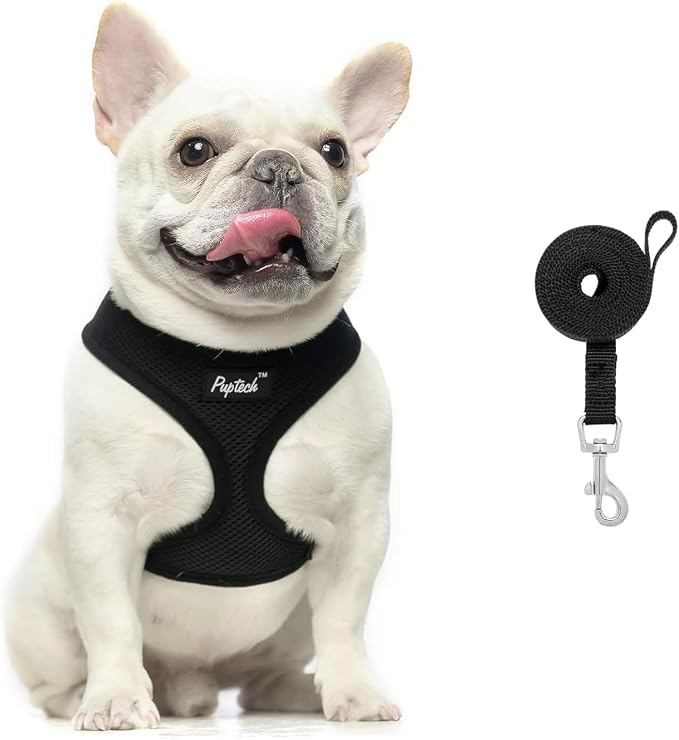 PUPTECK Soft Mesh Dog Harness and Leash Set Pet Puppy Cat Comfort Padded Vest No Pull Harnesses, Solid Black, XS