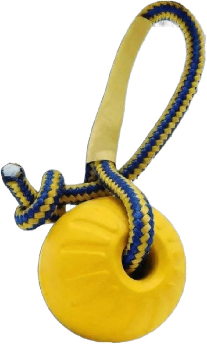 Dog Ball on Rope, Floating EVA Fetch Toy, Medium