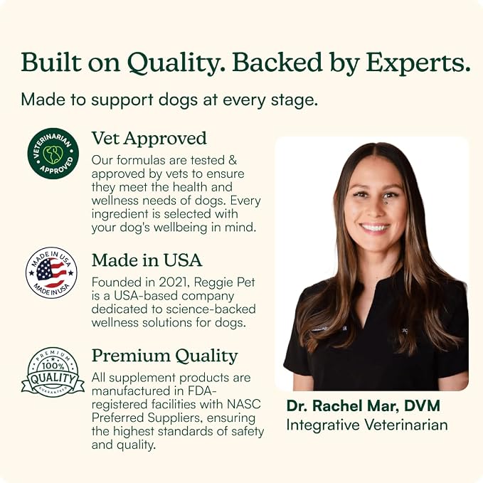 Reggie Daily Immunity Set for Dogs | Supports Healthy Gut, Immune System, and Nutrient Absorption | Made in The USA, Vet-Approved, & Ideal for All Ages, Breeds, and Sizes
