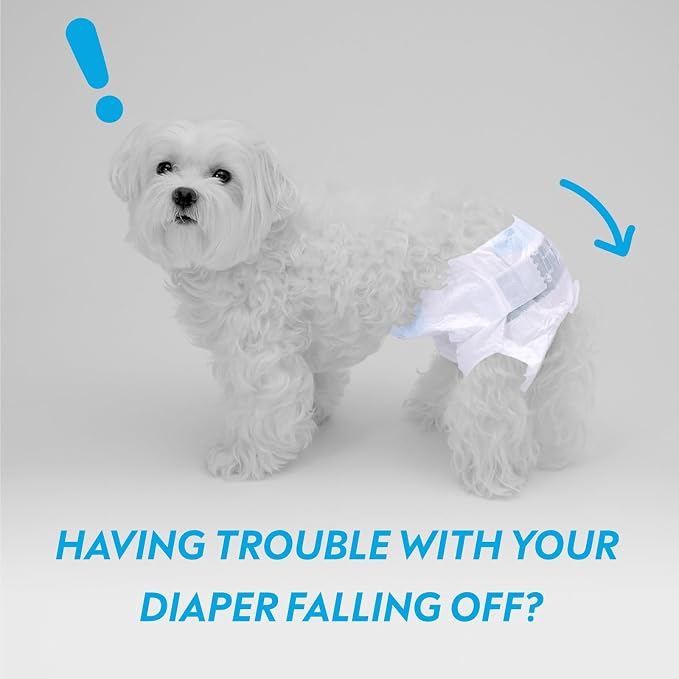 Paw Inspired Stay Put Dog Diaper Holder