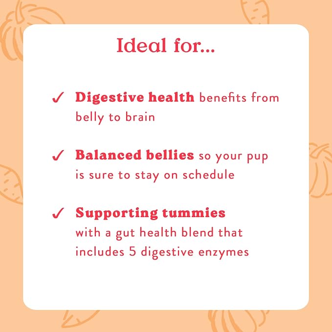 Bocce's Bakery Probiotic Supplement Chews, Pumpkin & Sweet Potato (60 ct) | Supports Digestion for Dogs - Made in The USA with 7 Strains of Probiotics