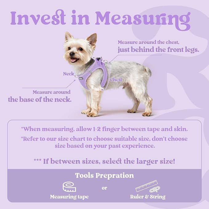 rabbitgoo Step-in Small Dog Harness, Puppy Vest for Small Sized Pet | Easy Put on and off, Lightweight, Soft, Breathable Quick-Dry Air Mesh for Comfortable Secure Walking, Light Purple XXXS