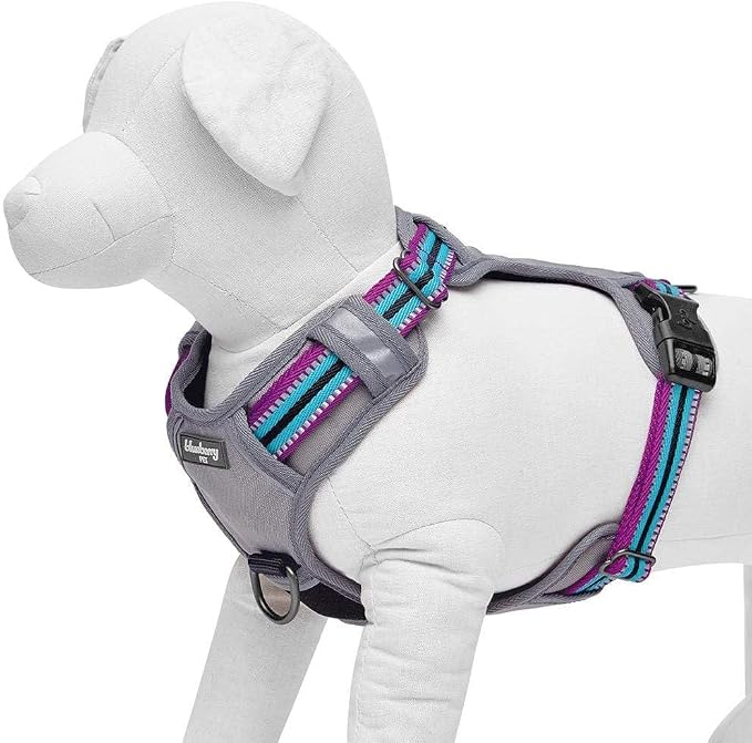 Blueberry Pet Dog Harness Soft & Comfy 3M Reflective Dog Harness Medium Sized Dog