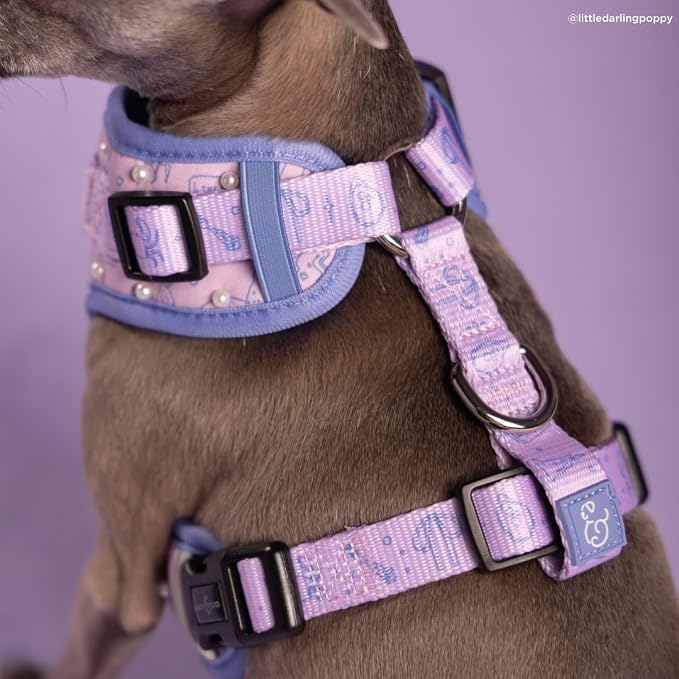 Lucy & Co. Magnificent Mermaids Pearl No-Pull Dog Harness, Adjustable Front Clip Harness with Comfort Padding, X-Large
