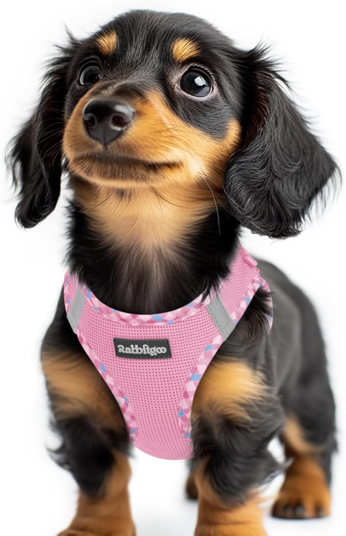 rabbitgoo Step-in Small Dog Harness, Puppy Vest for Small Sized Pet | Easy Put on and off, Lightweight, Soft, Breathable Quick-Dry Air Mesh for Comfortable Secure Walking, Pink & Plaid Trim XXS