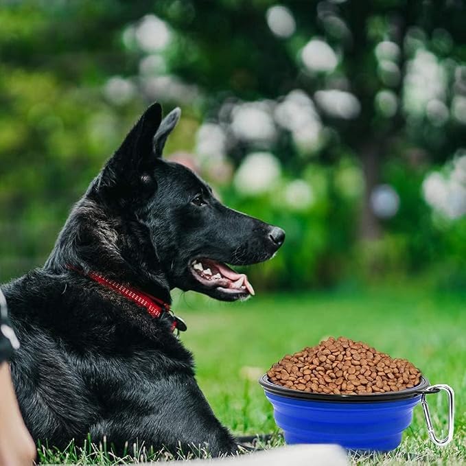 Large Dog Bowl Collapsible, 2 Pack, with Carabiners, Large, Blue+Green