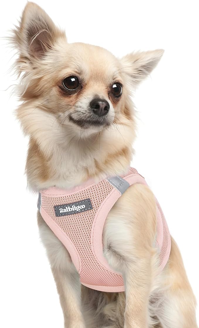 rabbitgoo Step-in Small Dog Harness, Puppy Vest for Small Sized Pet | Easy Put on and off, Lightweight, Soft, Breathable Quick-Dry Air Mesh for Comfortable Secure Walking, Pink XXXS