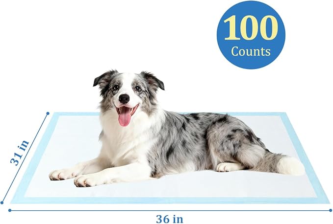 Dog Pee Pads Extra Large 31"x36" 100 Count, Disposable Puppy Training Pads, Super Absorbent Leak-Proof Pads for Dogs, Cats, Rabbits