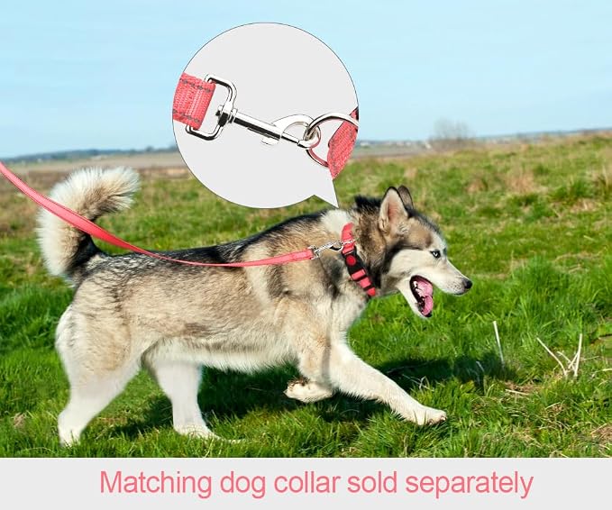 Taglory Reflective Dog Leash for Small Dogs, 3/4in x 4ft, Pink | Ideal for Night Walking, Strong for Sudden Pulls, Lightweight & Gentle on the Neck, Soft Padded Handle