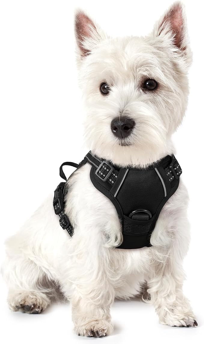 rabbitgoo Dog Harness, No Pull for Small Dogs with 2 Leash Clips, Pet Vest | No Choke with Handle, Adjustable Soft Padded, Reflective, Easy Control for Walking, Black, X-Small
