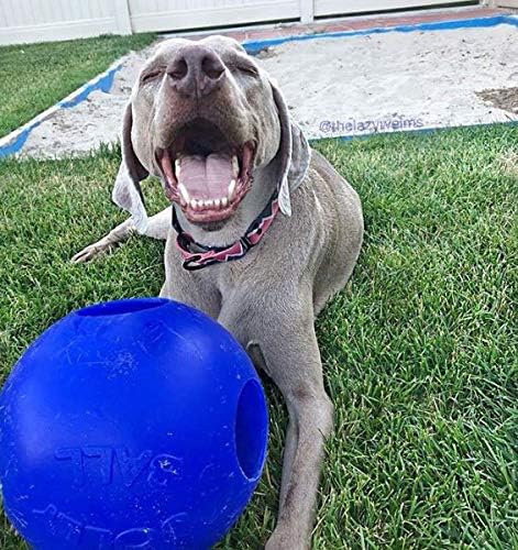 Jolly Pets Teaser Ball Interactive Dog Toy, 10 in XL, Blue | Ball-within-a-ball puzzle toy that floats - add peanut butter to the inner ball for extra fun