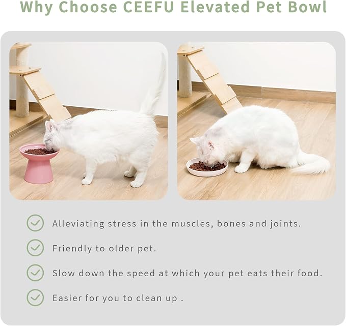 CEEFU Extra Wide Elevated Ceramic Cat Bowl, 6.2" Shallow Dish for Whisker Fatigue Relief, 5" Height for Easy Feeding, Durable Raised Cat Food Bowls, Pack of 2, Pink