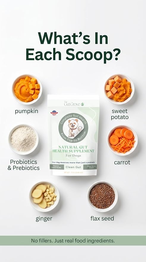 Dog Probiotic Powder – Gut Health Probiotics for Dogs with Digestive Enzymes, Prebiotics & Pumpkin – Supports Firm Stool, Diarrhea Relief, Immune Boost – Natural Dog Gut Health Powder