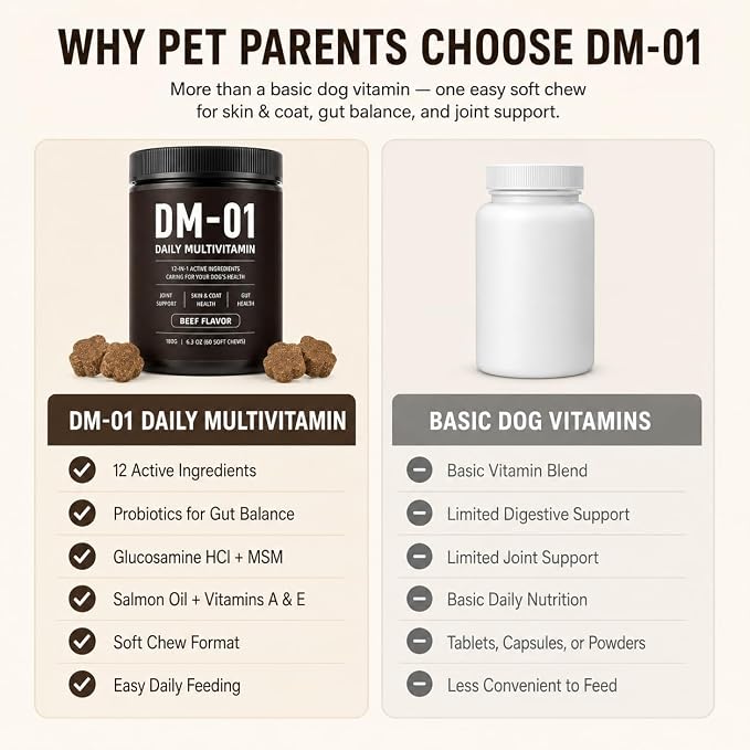 DM-01 Daily Multivitamin Itch Relief for Dogs, 12-in-1 Soft Chews with Glucosamine, MSM, Probiotics, Salmon Oil & Vitamins, Joint & Gut Support, Every Dog is Family, Loved by Humans, Beef, 60 Count