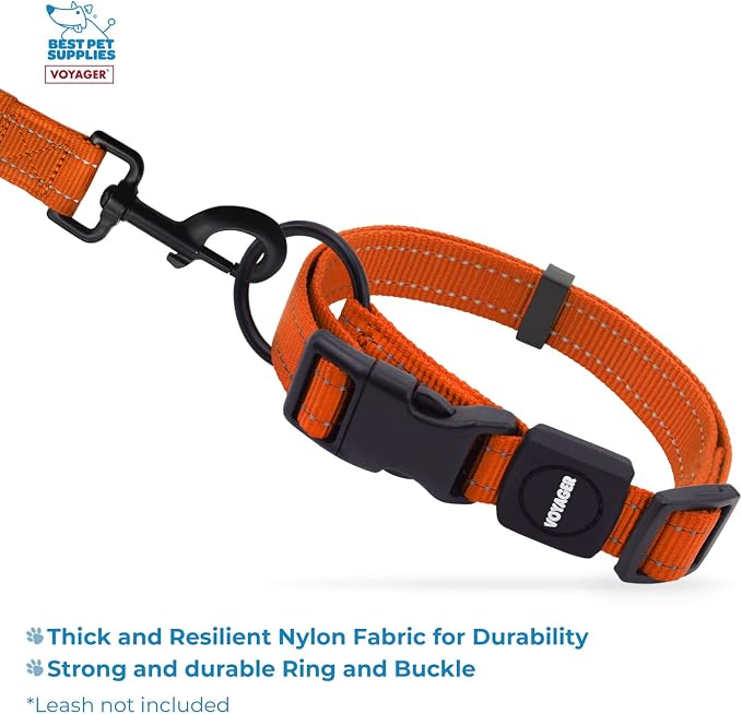 Best Pet Supplies Voyager Reflective Dog Leash or Collar with Neoprene Handle, for Small, Medium, and Large Breed Puppies, Cute and Heavy Duty for Walking, Running and Training - Orange, M
