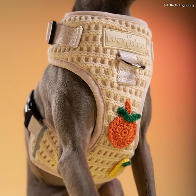 Lucy & Co. Main Squeeze Crochet No-Pull Dog Harness, Adjustable Front Clip Harness with Comfort Padding, X-Small