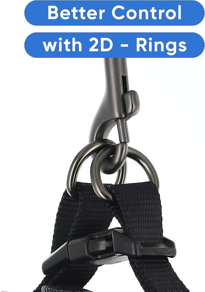 Pawtitas Dog Vest Harness Made with Breathable Air Mesh | All Weather Vest Harness for Large Dogs with Quick-Release Buckle - Orange Mesh Dog Harness for Training and Walking Your Pet.