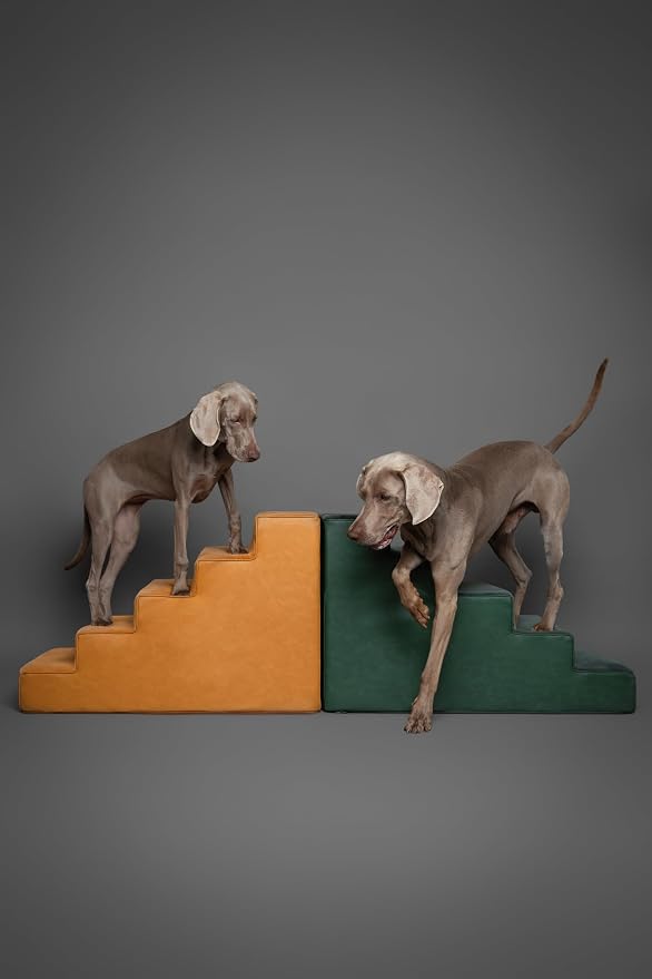 Noah & Paw Dog Stairs, Dog Ramp for Bed (20" Extra Wide) Pet Stairs for High Bed, Design to Fit Small and Large Breeds, Durable 5 Pet Steps for Couch (35 Foam Density) Leather Collection