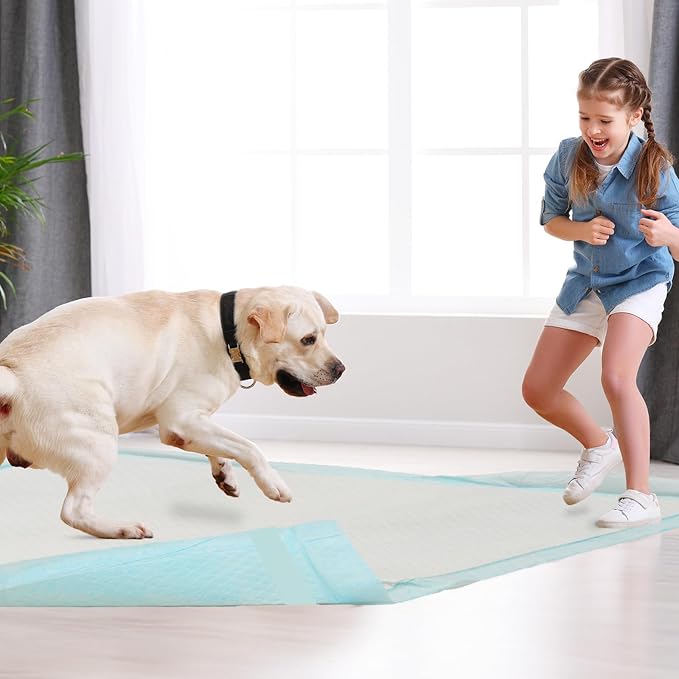 Dog Pee Pads 22"x23", Disposable Puppy Pee Pads Pee Pads for Dogs, Pet Training Pads Super Absorbent Leak-Proof Pee Pads (90 Count)