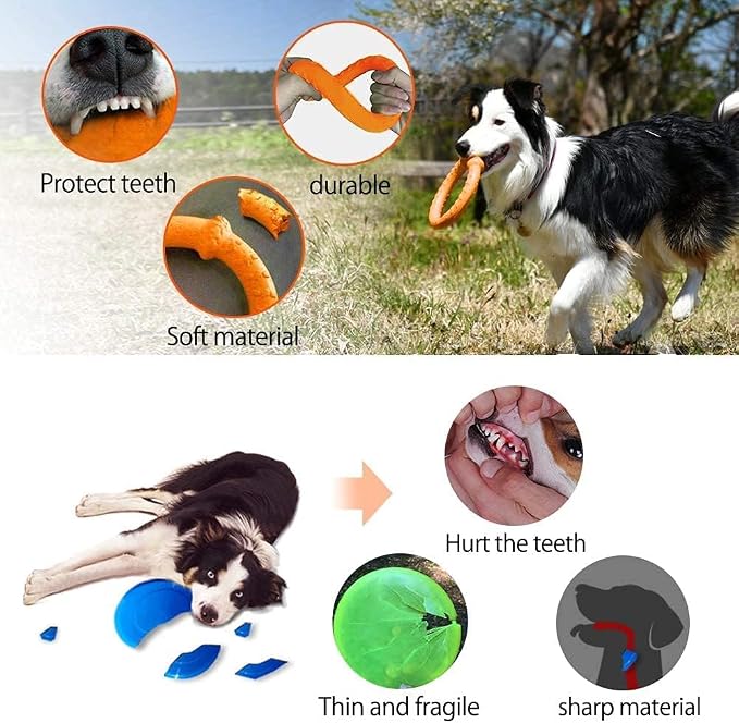 LaRoo Floating Dog Pool Toy, Fetch & Ring Tug Toy, Orange, 8.6in