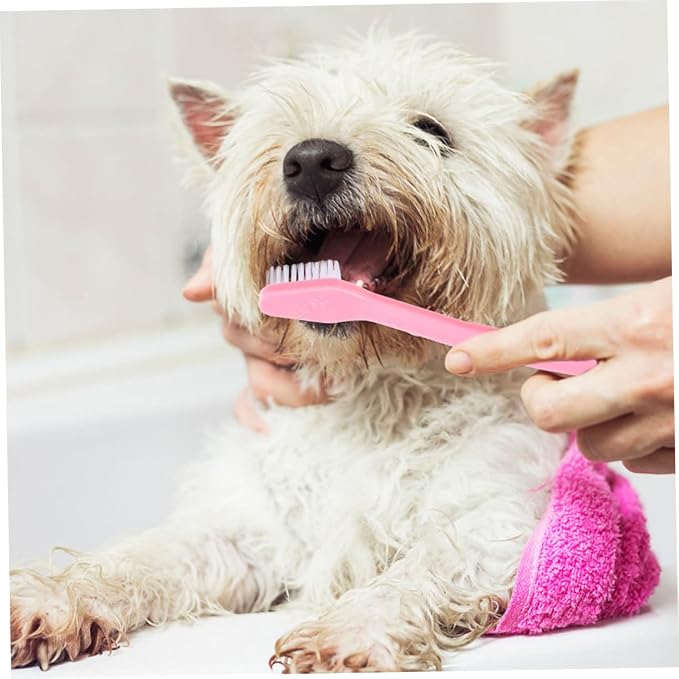POPETPOP 12Pcs Dual Head Pet Toothbrush Handheld Dog Oral Cleaning Brushes with Soft Bristles for Gentle Care Non Slip Handle for Comfortable Use for Daily Pet
