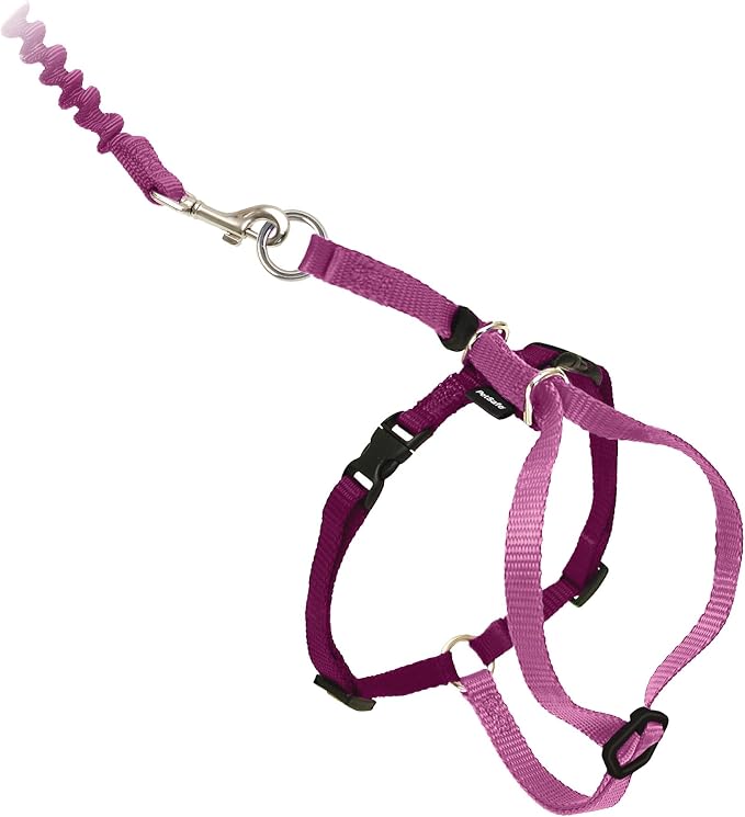 PetSafe Come with Me Kitty Harness and Bungee Leash, Large, Dusty Rose | Adjustable 2-Point Fit Applies Gentle Pressure to Shoulders, Not Neck, for Average and Large Cats with 13 in - 18 in Girth
