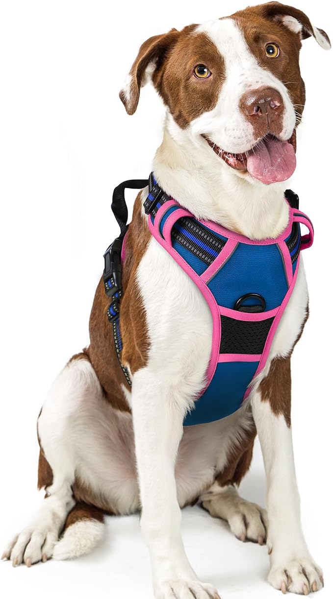 rabbitgoo Dog Harness, No Pull for Large Dogs with 2 Leash Clips, Pet Vest | No Choke with Handle, Adjustable Soft Padded, Reflective, Easy Control for Walking, Blue & Hot Pink, Large